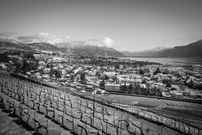 Fin de journée dans le Lavaux - 014